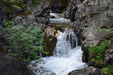 Kairak şelalesinin yukarısındaki nehir, Turgen geçidi.