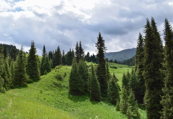 Glades Verdes Montaña Turgen — Foto de Stock