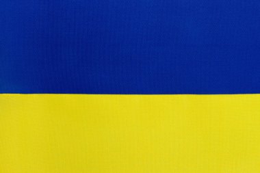 Bağımsızlık Günü onuruna Ukrayna 'nın desenli bayrağı.