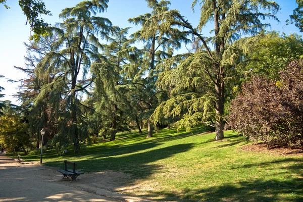 Madrid, İspanya. West park