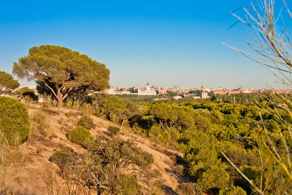 Park Casa de Campo, Madrid, Spain