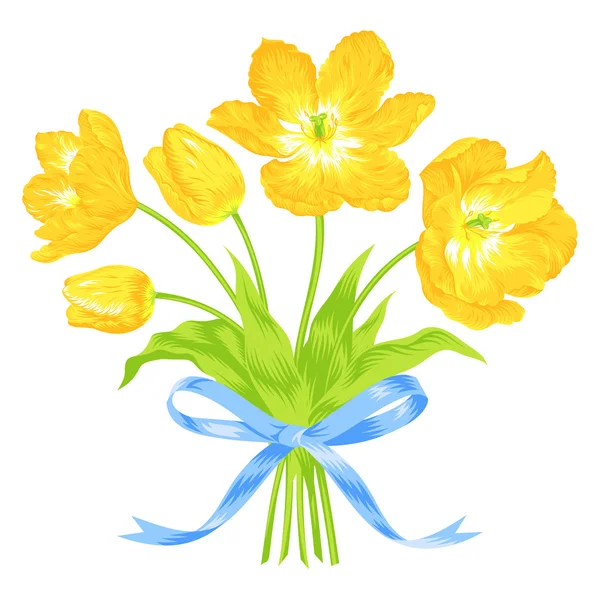 Tulips bouquet with blue ribbon — Stock Vector