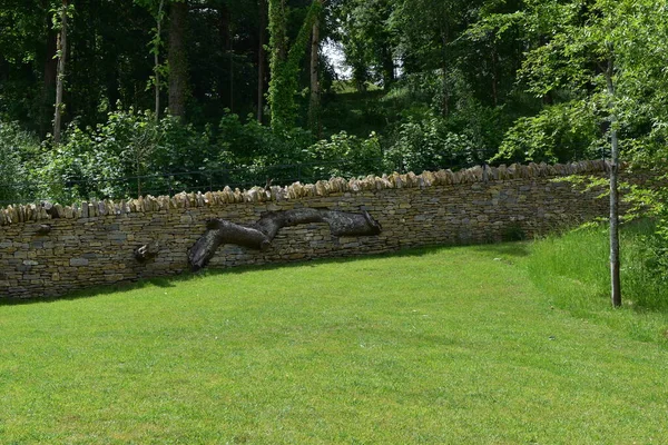 Sucha kamienna ściana zbudowana wokół natury z wbudowanym drzewem. — Zdjęcie stockowe