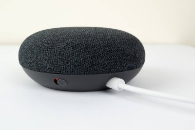 Google Home Mini kömür akıllı konuşmacı