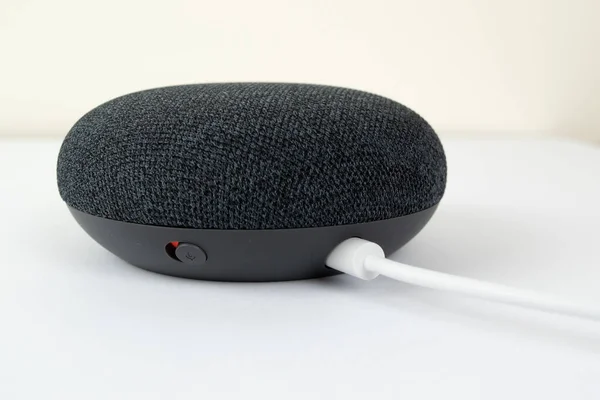 Google Home Mini charcoal розумний оратор Ліцензійні Стокові Фото