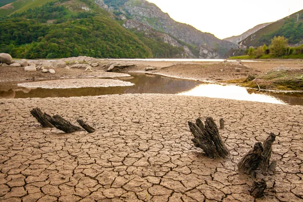 Catastrophe Naturelle Concept Réchauffement Climatique Texture Terrestre Sèche Gros Plan — Photo