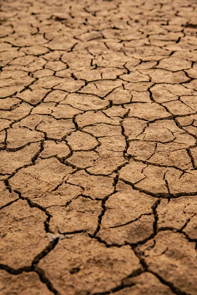 Begreppet Global Uppvärmning Vid Naturkatastrofer Torr Markstruktur Nära Håll Hårt — Stockfoto