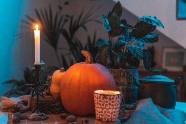 Masada mum yanan Cadılar Bayramı balkabağı. İskelet, mum, fındık. Teal ve turuncu güzel natürmort.