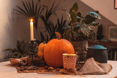 Masada mum yanan Cadılar Bayramı balkabağı. İskelet, mum, fındık. Teal ve turuncu güzel natürmort.