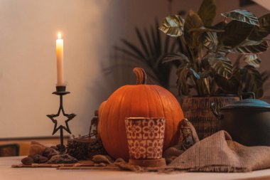Masada mum yanan Cadılar Bayramı balkabağı. İskelet, mum, fındık. Teal ve turuncu güzel natürmort.