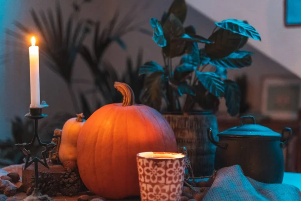 Halloween Pumpkin Candle Lit Table Skeleton Candles Nuts Teal Orange — Stock Photo, Image