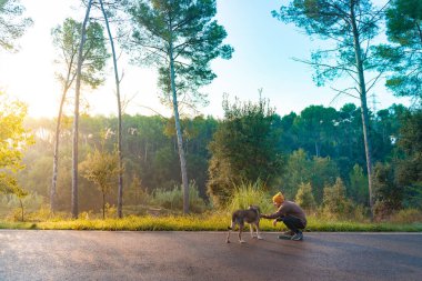Genç yakışıklı adam sonbaharda sabah güneşiyle köpeğini dolaştırıyor. Arkadaşlık ve hayvani aşk kavramı. Güneş, sıcak ve uzun gölgeler.