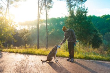 Genç yakışıklı adam sonbaharda sabah güneşiyle köpeğini dolaştırıyor. Arkadaşlık ve hayvani aşk kavramı. Güneş, sıcak ve uzun gölgeler.