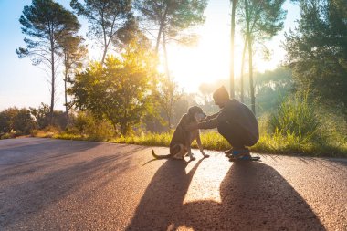 Genç yakışıklı adam sonbaharda sabah güneşiyle köpeğini dolaştırıyor. Arkadaşlık ve hayvani aşk kavramı. Güneş, sıcak ve uzun gölgeler.