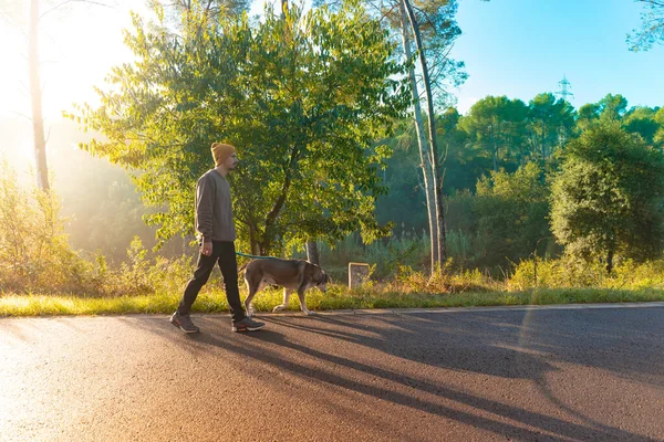 Jovem Homem Bonito Caminhando Seu Cão Natureza Com Raios Manhã — Fotografia de Stock