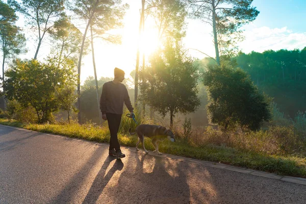 Jovem Homem Bonito Caminhando Seu Cão Natureza Com Raios Manhã — Fotografia de Stock