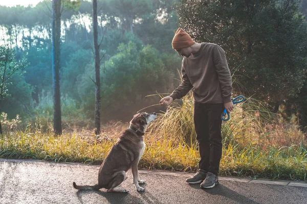 Genç yakışıklı adam sonbaharda sabah güneşiyle köpeğini dolaştırıyor. Arkadaşlık ve hayvani aşk kavramı. Güneş, sıcak ve uzun gölgeler.