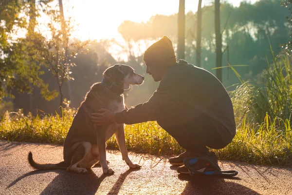 Jovem Homem Bonito Caminhando Seu Cão Natureza Com Raios Manhã — Fotografia de Stock