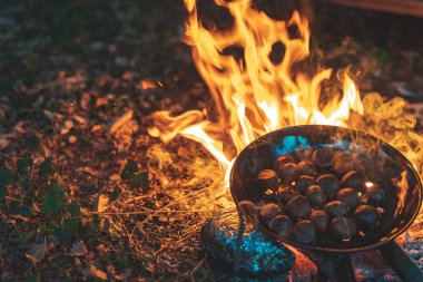 Sonbahar kamp ateşinde gün batımında kestane pişirmek. Orman, orman, vahşi koltuklar ve arka planda silueti olan sıcak ve samimi bir kamp ateşi..