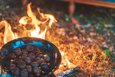 Sonbahar kamp ateşinde gün batımında kestane pişirmek. Orman, orman, vahşi koltuklar ve arka planda silueti olan sıcak ve samimi bir kamp ateşi..