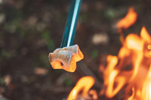 Belle Femme Griller Des Guimauves Dans Feu Camp Automne Pendant — Photo