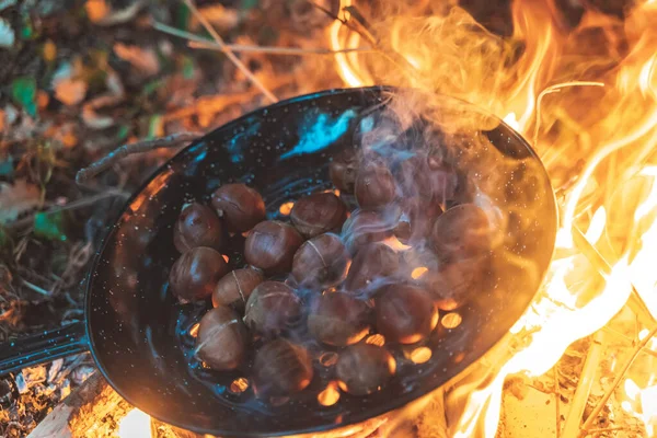 Sonbahar kamp ateşinde gün batımında kestane pişirmek. Orman, orman, vahşi koltuklar ve arka planda silueti olan sıcak ve samimi bir kamp ateşi..