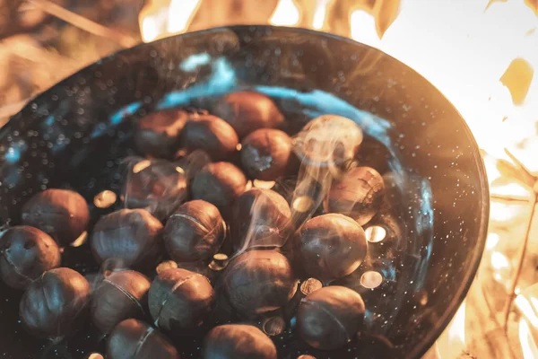 Sonbahar kamp ateşinde gün batımında kestane pişirmek. Orman, orman, vahşi koltuklar ve arka planda silueti olan sıcak ve samimi bir kamp ateşi..