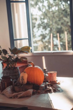 Masada mum yanan Cadılar Bayramı balkabağı. İskelet, mum, fındık. Teal ve turuncu güzel natürmort.