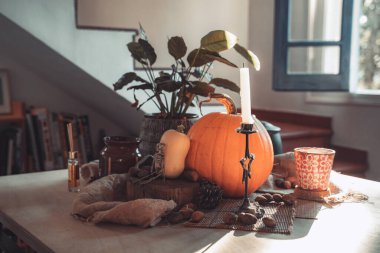 Masada mum yanan Cadılar Bayramı balkabağı. İskelet, mum, fındık. Teal ve turuncu güzel natürmort.