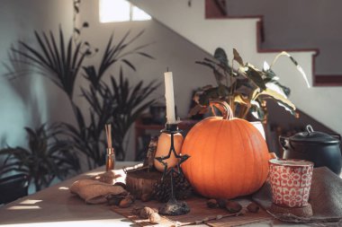 Masada mum yanan Cadılar Bayramı balkabağı. İskelet, mum, fındık. Teal ve turuncu güzel natürmort.