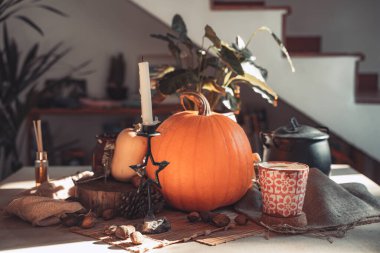 Masada mum yanan Cadılar Bayramı balkabağı. İskelet, mum, fındık. Teal ve turuncu güzel natürmort.