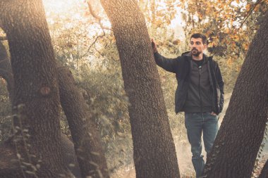 Yakışıklı genç adam sonbahar güneşli sabahında sisli ormanda tek başına yürüyor. Sıcak vintage renkler.