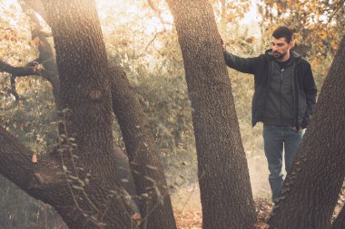 Yakışıklı genç adam sonbahar güneşli sabahında sisli ormanda tek başına yürüyor. Sıcak vintage renkler.