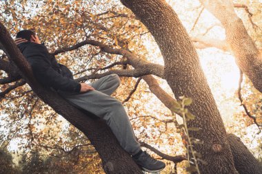 Yakışıklı genç adam sonbahar güneşli sabahında sisli ormanda tek başına yürüyor. Sıcak vintage renkler.