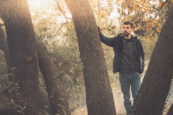 Yakışıklı genç adam sonbahar güneşli sabahında sisli ormanda tek başına yürüyor. Sıcak vintage renkler.