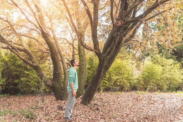 Handsome Man Forest Autumn Enjoying Nature Wild Freedom Travel Concept — Stock Photo, Image