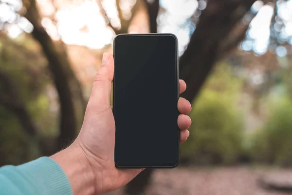 Front of view of a black screen  smartphone with autumn forest in the background. Male hands pointing finger on her mobile phone. Graphic design, mock up screens. Mobile phone close up