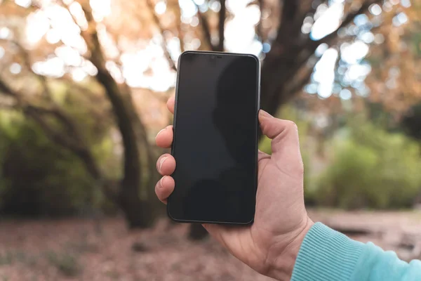 Front of view of a black screen  smartphone with autumn forest in the background. Male hands pointing finger on her mobile phone. Graphic design, mock up screens. Mobile phone close up