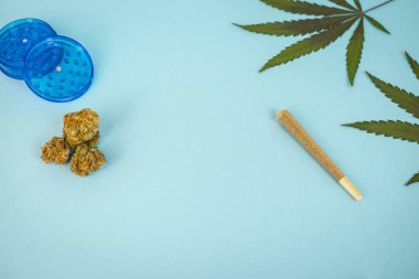 Önceden sarılmış CBD tıbbi marihuana ve kenevir yaprakları. Organik ve doğal kenevir bazlı kozmetik ve güzellik ürünleri. Tıbbi kenevir konsepti. Durgun hayat.