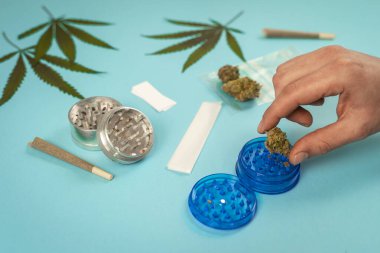 CBD tıbbi marihuana tomurcuğu ve mavi cyan arka planda kenevir yapraklarıyla el ele. Organik ve doğal kenevir bazlı kozmetik ve güzellik ürünleri. Tıbbi kenevir konsepti. Durgun hayat.