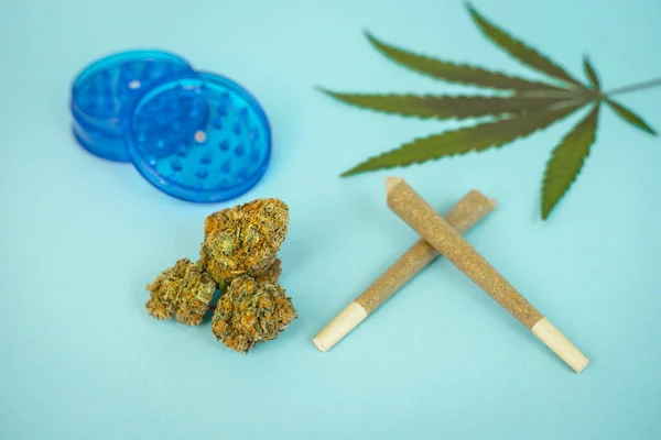 Förrullade Cbd Medicinsk Marijuana Och Hampa Blad Blå Cyan Bakgrund — Stockfoto