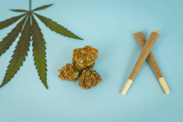 Förrullade Cbd Medicinsk Marijuana Och Hampa Blad Blå Cyan Bakgrund — Stockfoto