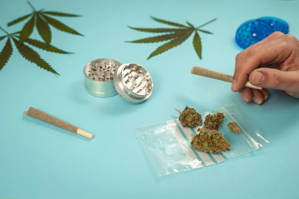 Hand Med Förvalsade Cbd Medicinsk Marijuana Och Hampa Blad Blå — Stockfoto