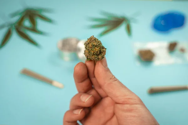 Hand Med Cbd Medicinsk Marijuana Knopp Och Hampa Blad Blå — Stockfoto