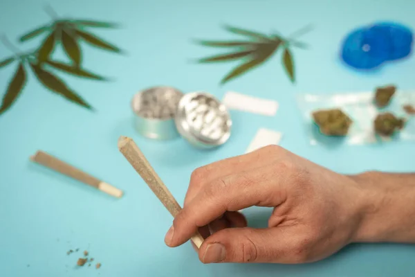 Hand Med Förvalsade Cbd Medicinsk Marijuana Och Hampa Blad Blå — Stockfoto