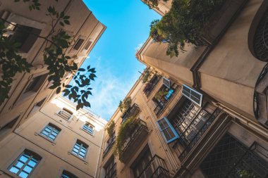 Barselona, İspanya 'da vahşi bitkilerle dolu eski güzel bir cadde. Mimari ve tasarım geçmişi.