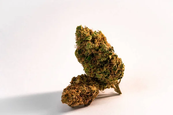 Close Prescription Medical Marijuana Flower Cbd Cannabis Bud Photography Dispensary — Stock Photo, Image