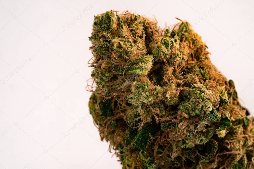 Close up prescription medical marijuana flower. CBD cannabis bud photography for dispensary menu. Medical marijuana strain. Weed bud, weed flower on white background.