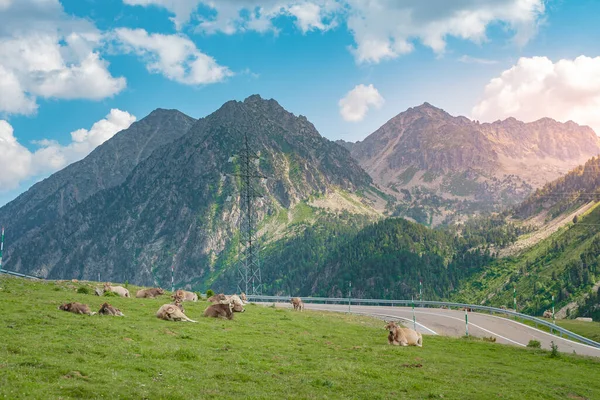 Verbazingwekkend Panorama Landschap Bergen Tijdens Zonsondergang Een Schilderachtig Uitzicht Een — Stockfoto