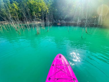 Çekici ve güçlü bir adam gölde şeffaf suların tadını çıkarıyor. Tropik seyahat, seyahat tutkusu ve su aktivitesi konsepti. Paddle Surf su sporları. Yaz tatilleri.